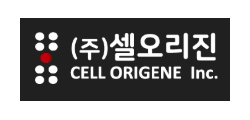 ㈜셀오리진 [스] 로고